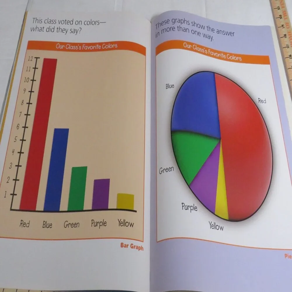 Graph It BIG BOOK (almost 2 feet tall) with teacher pages  CLASSROOM SIZE